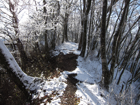 20191129hike (371)